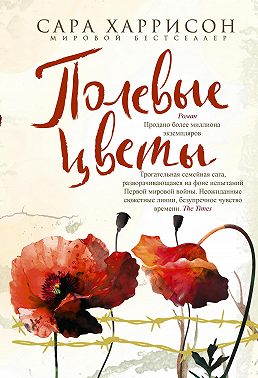 Полевые цветы
