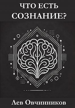 Что есть сознание?