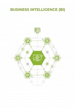 Business Intelligence (BI)
