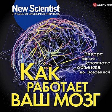 Как работает ваш мозг