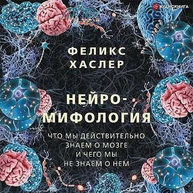 Нейромифология. Что мы действительно знаем о мозге и чего мы не знаем о нем