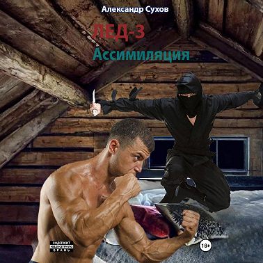 Лед 3. Ассимиляция.