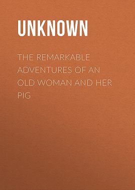 The Remarkable Adventures of an Old Woman and Her Pig