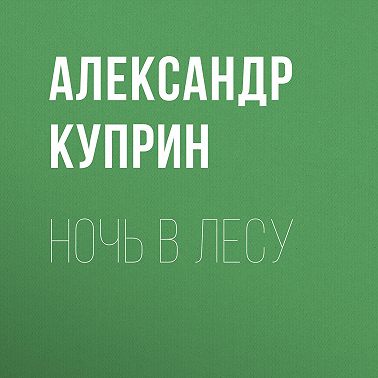 Ночь в лесу