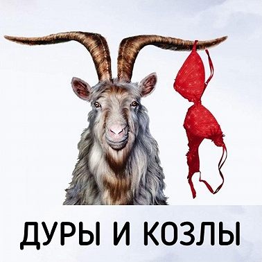 Дуры и Козлы 8 Куда Уходит Страсть?
