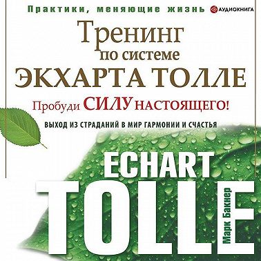 Тренинг по системе Экхарта Толле. Пробуди силу настоящего! Выход из страданий в мир гармонии и счастья