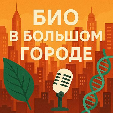 Трейлер: о чем этот подкаст?