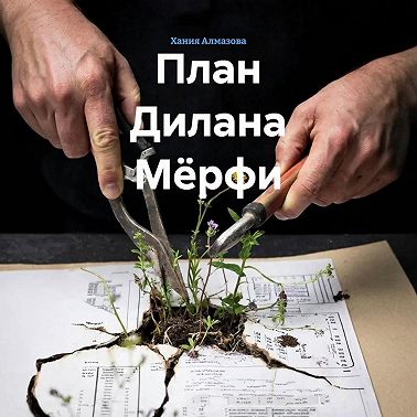 План Дилана Мёрфи