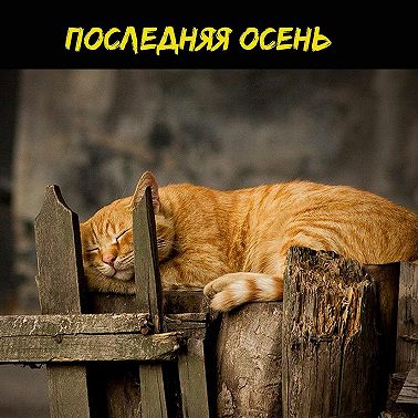 Последняя осень