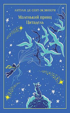 Маленький принц. Цитадель