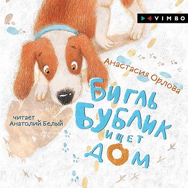 Бигль Бублик ищет дом