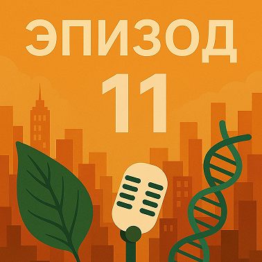Эпизод 11. Алкоголь - пить или не пить?