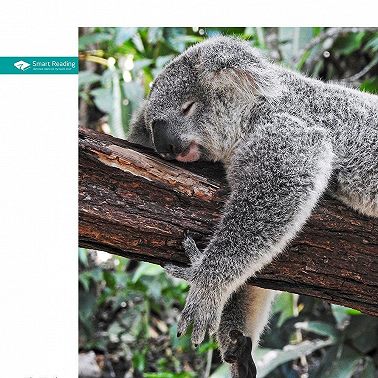 Ключевые идеи книги: Зачем мы спим. Новая наука о сне и сновидениях. Мэттью Уолкер