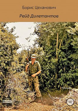 Рейд Дилетантов