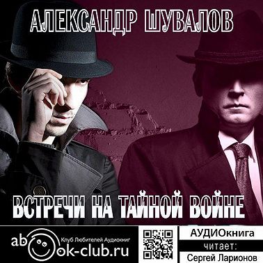 Встречи на тайной войне