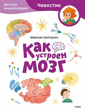 Как устроен мозг. Детская энциклопедия