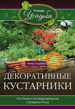 Декоративные кустарники