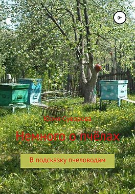 Немного о пчёлах в подсказку пчеловодам