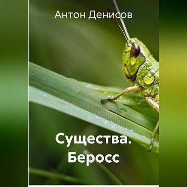 Существа. Беросс