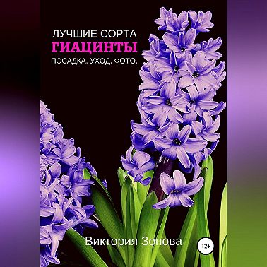 Гиацинты. Лучшие сорта