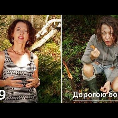 Дорогою бобра