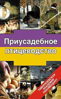 Приусадебное птицеводство