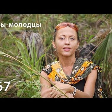 Отцы-молодцы: казуары, эму, киви