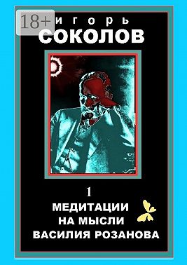Медитации на мысли Василия Розанова. Том 1