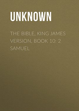 The Bible, King James version, Book 10: 2 Samuel
