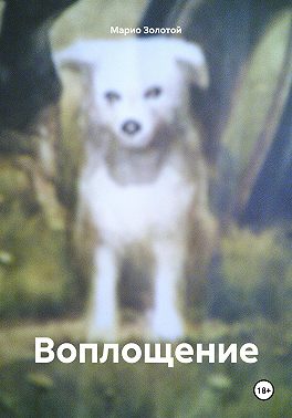 Воплощение