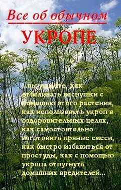 Все об обычном укропе