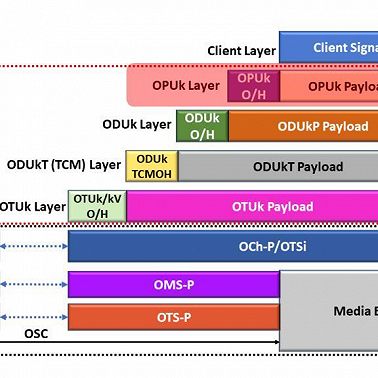 telecom №149. DWDM OTN