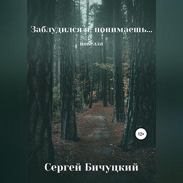 Заблудился я, понимаешь…