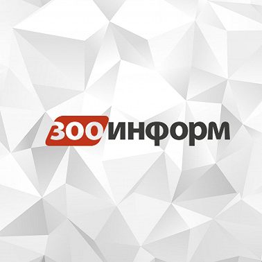 Путешествие с питомцем