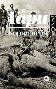 Корни неба