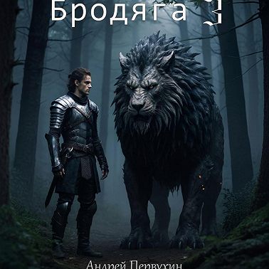Бродяга 3
