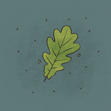 #13 - Веганство - первый выпуск с гостем