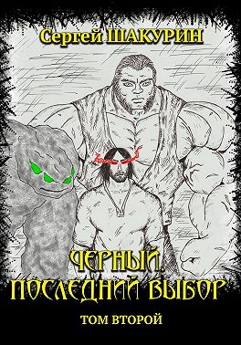 Черный. Последний выбор. Том второй