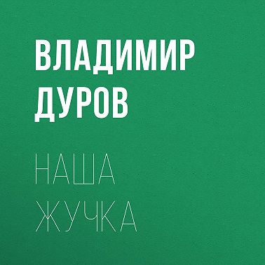 Наша Жучка
