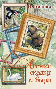 Лесные сказки и были (сборник)