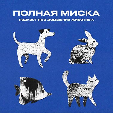 Полная миска | Вам страшно перед операцией?