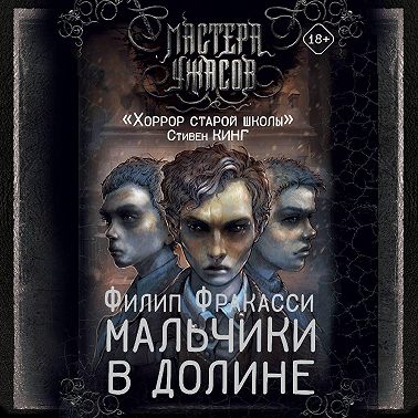 Мальчики в долине