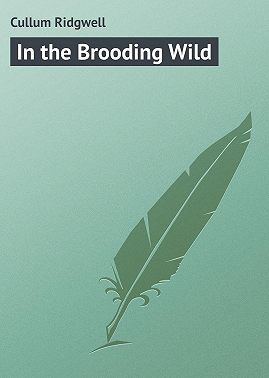 In the Brooding Wild