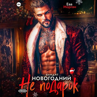 Бандит. Новогодний не подарок