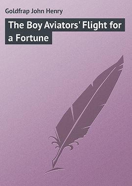 The Boy Aviators' Flight for a Fortune