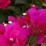 «Шмуэль бет» 3