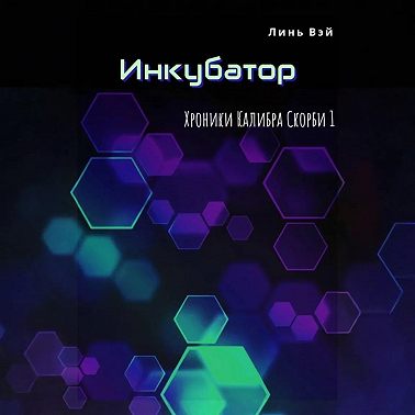 Инкубатор