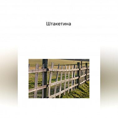 Штакетина