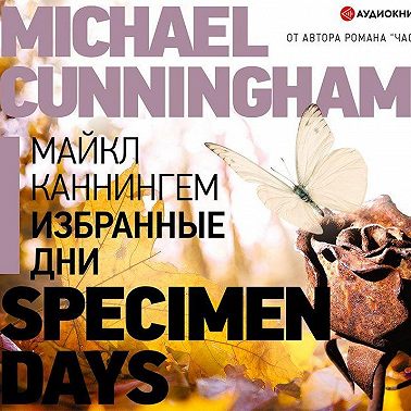 Избранные дни