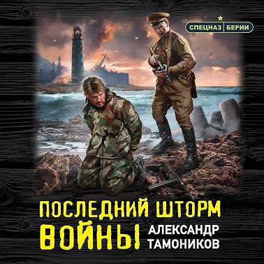 Последний шторм войны